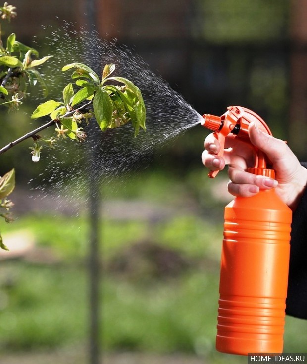 ��������� ����