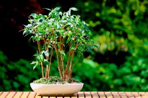 Молодежное вязаное пальто Брендовая одежда Pinterest Ликма - Сайт pawy3!