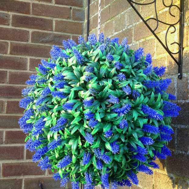 Топиарий с синими цветками