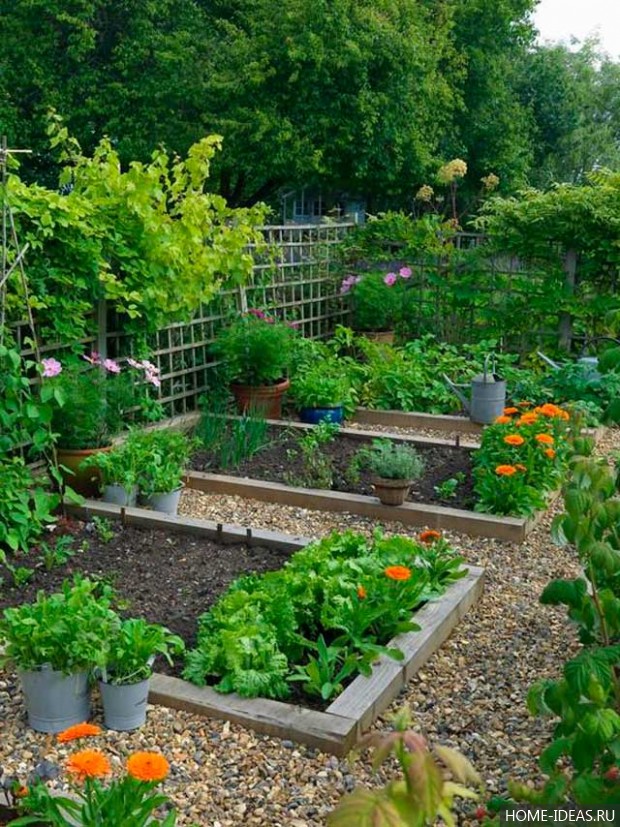 Дизайн сада и огорода на 6 сотках: фото
