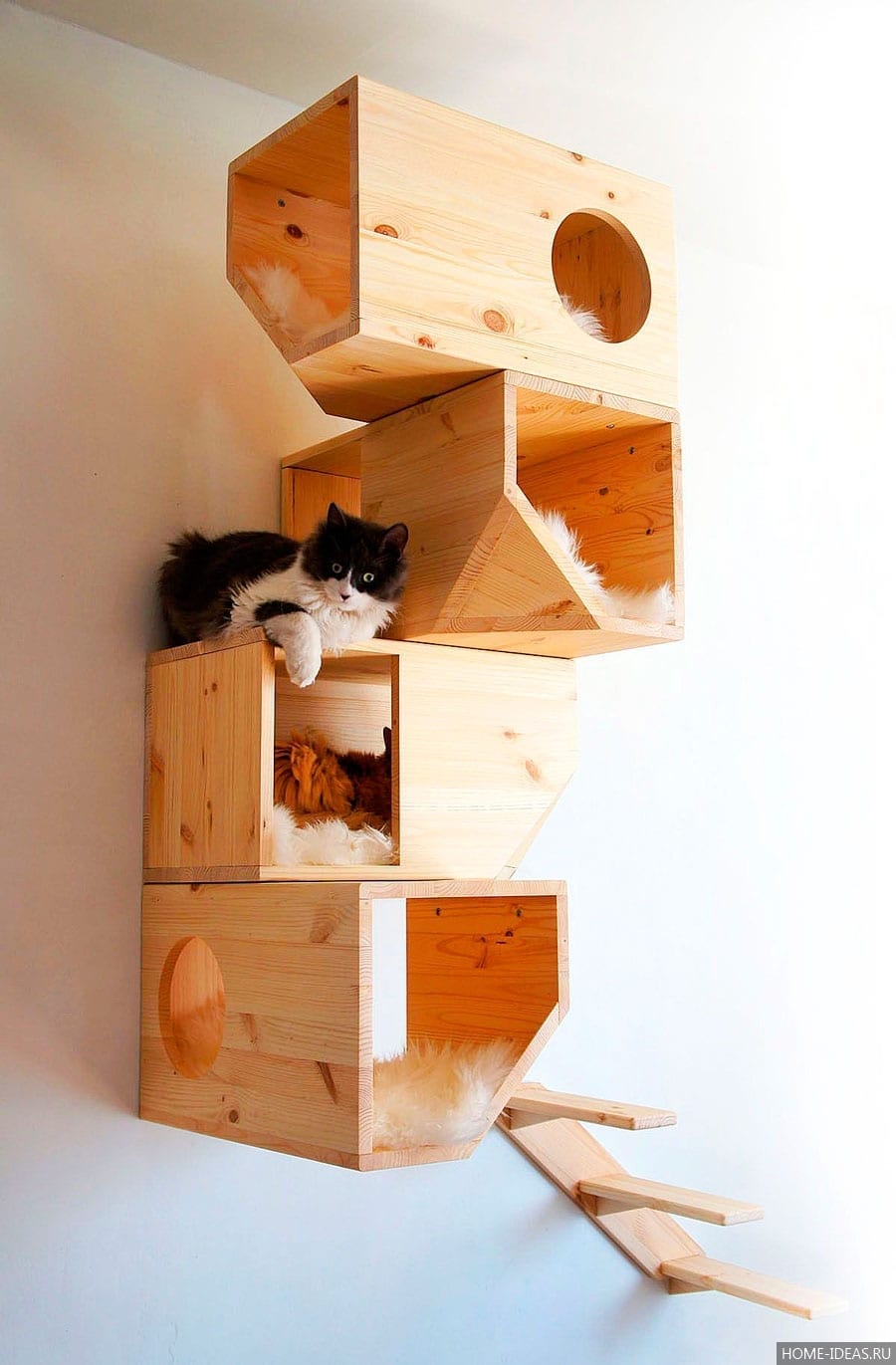 Домик для кошки своими руками (фото + видео инструкции) | Сайт «Мурло»
