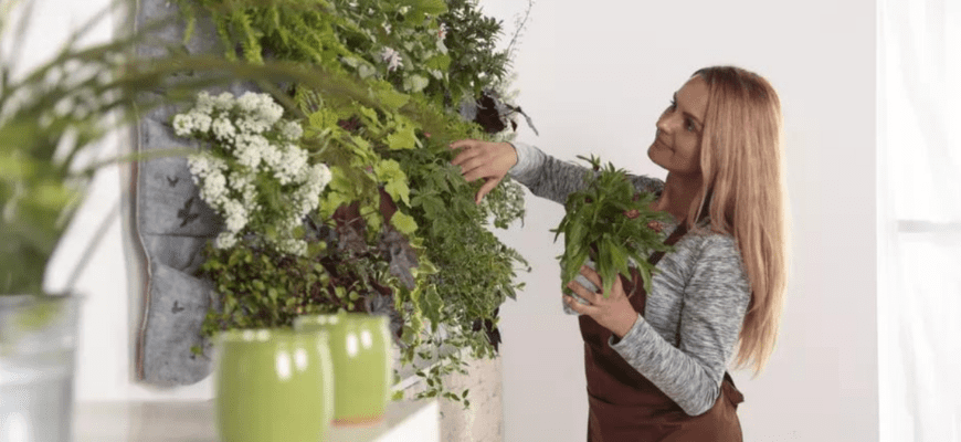Как сделать стену из растений