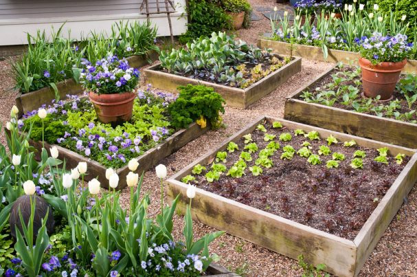 Как правильно сделать планировку сада и огорода на участке