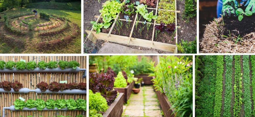 Как правильно спланировать сад и огород на участке